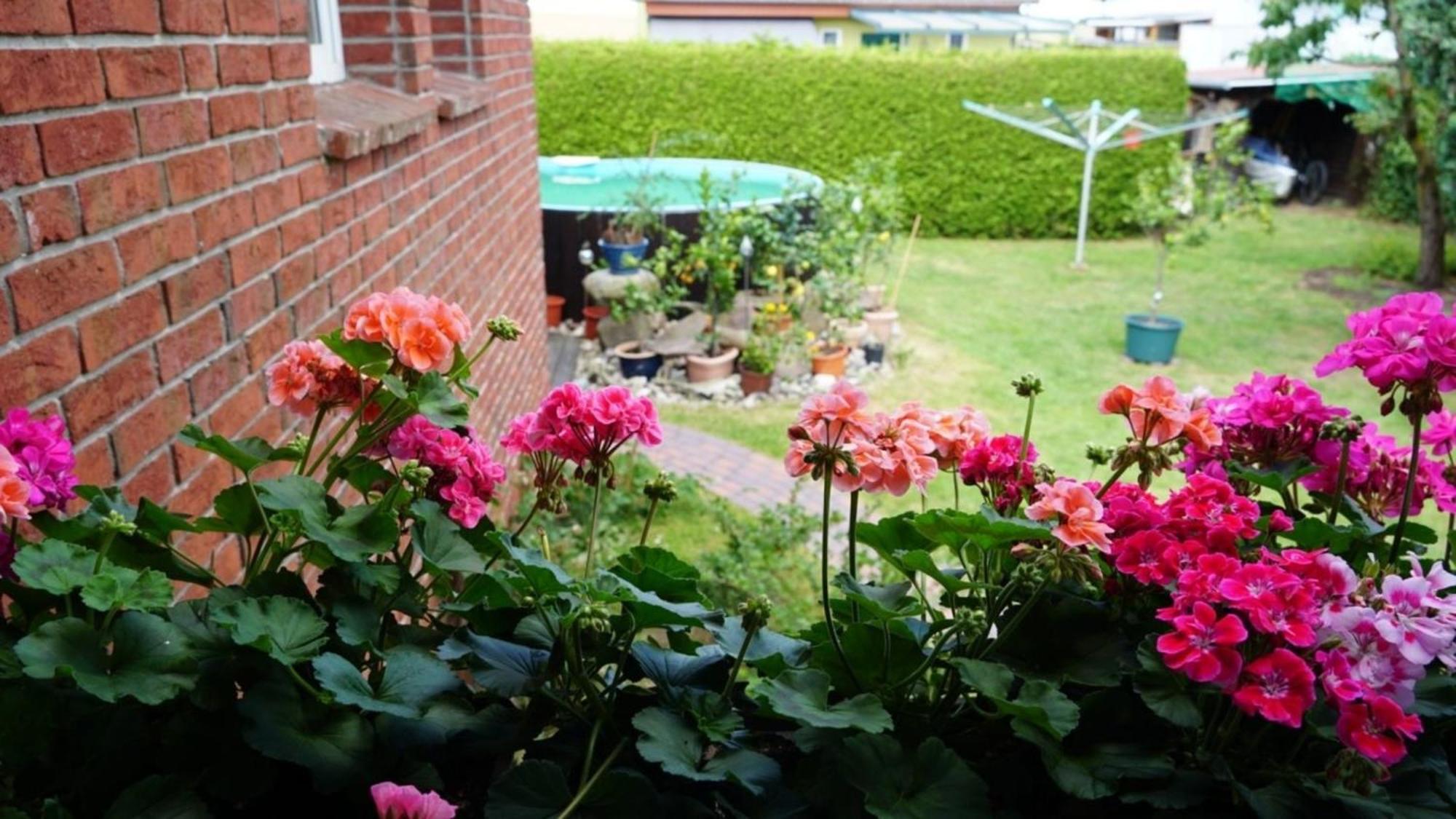 Pension Limone Ferienwohnung 1 Neu Lindenberg Екстер'єр фото